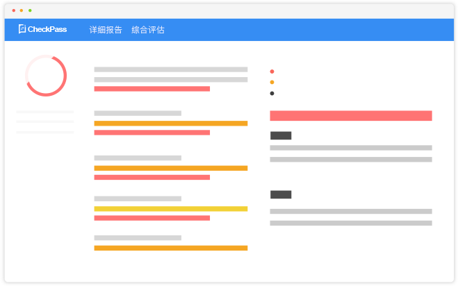 详细报告